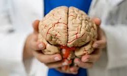 Bilim insanları: hala ergen olabilirisiniz