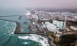 Japonya okyanusu zehirledi: Deniz ürünlerine yasak geldi