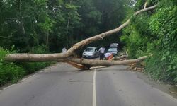 Türkiye'den Melissa Kasırgası'nda hayatını kaybedenler için mesajı