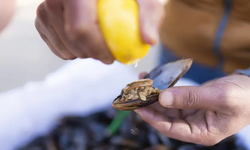 İstanbul'da gıda faciası: 2 çocuk yaşamını yitirdi