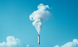 DSÖ bildirdi: Her yıl 7 milyon kişinin ölümüne neden oluyor