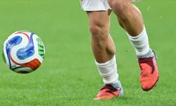 Dünya Kupası'nın kıtalar arası play-off maçları Guadalajara ve Monterrey'de yapılacak