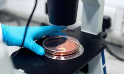 Yeni bakteri alarmı: 6 kişi hayatını kaybetti