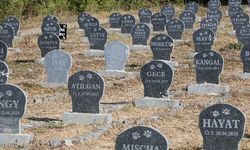 Tayfun Öztürk: Bu ülkenin sokakları masumların mezarlığı olmayacak