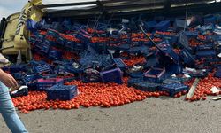 Bursa'da tır devrildi! Domatesler yola saçıldı