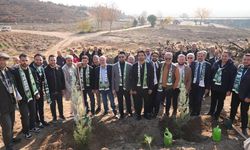 Bursaspor'dan yanan ormanlara fidan desteği