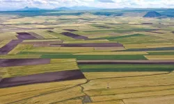 Bursa dahil 47 ilde, TOKİ arsa açık artırması başlıyor