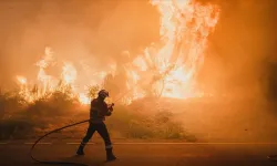 Bu yıl 350 bin hektardan fazla ormanlık alan yandı