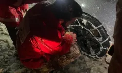 AFAD'dan kar yağışına yönelik çalışmalara dair açıklama
