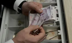 Bakan Yumaklı'dan "zirai don" desteği açıklaması