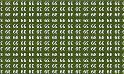 Görenlerin yalnızca yüzde 5’i 8 saniyede bulabildi Peki siz?