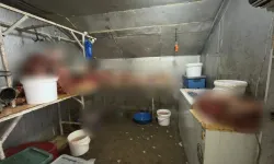 At kesimi yapan işletmeye operasyon