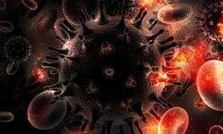 Türkiye'de yüzde 450 korkutan artış!