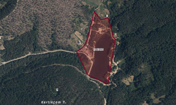 DOĞADER'den Bursa Baraklı Göleti için çağrı