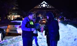 Bursa Büyükşehir sahada