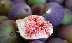 Okullarda “Coğrafi İşaret Günü” kutlanacak