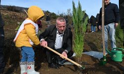 Bursa'da yangın sonrası ilk fidanlar toprakla buluştu