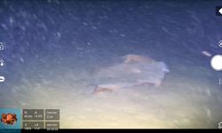 Marmara Denizi'nin dibinde 50 yıllık enkazın izine ulaşıldı