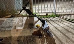 Bursa'da taburcu edildi, “iyileşti” denildi… 3 gün sonra hayatını kaybetti