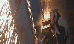 Esnaf, boğazına şeker kaçan bebeği heimlich manevrasıyla kurtardı