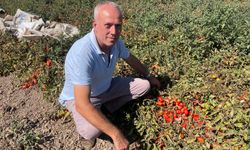 Bursa'da bu adamın adı Seçim: Bakın sebebi ne...