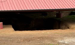 Bursa'da  "Çoban İsa" figürünün keşfedildiği lahit tarlası gece gündüz korunuyor