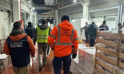 Bursa’da balık halinde gece operasyonu...615 kilo istavrite el konuldu