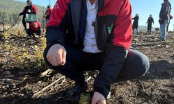 Orhaneli'de 188 fidan toprakla buluştu