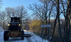 Osmangazi'de kar sonrası buzlanmaya karşı seferberlik