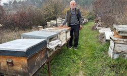 Zirai ilaç yüzünden milyonlarca arısı kovana dönemeden öldü