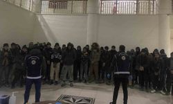 Amasya'da çinko yüklü tırdan 37 kaçak göçmen çıktı