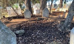 Antalya'da 50 yıl önce hayatını kaybeden iki tarım işçisinin mezarları sahiplerini bekliyor
