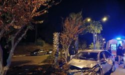 Antalya’da palmiyeye çarpan otomobilin sürücüsü yaralandı
