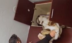 Aranan şahsın yakalandığı yer pes dedirtti