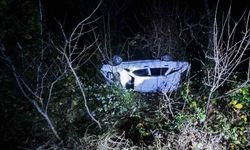 Artvin’de otomobil uçuruma yuvarlandı: 4 yaralı