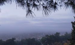 Aydın’da puslu sabah manzaraları mest etti