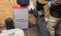 Bağ evindeki uyuşturucu düzeneğini ’Tony’ ortaya çıkardı