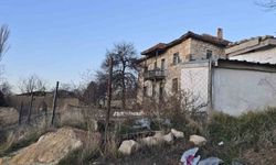 Bağlı köpek çocuklara saldırdı: 14 yaşındaki çocuk ağır yaralandı