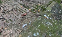 Beyoğlu'nda ağacın kırılan dalları binanın üzerine düştü