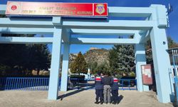 Bilecik'te orman suçundan aranan şahıs yakalandı