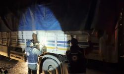 Bitlis’te tır dorsesinde 31 göçmen yakalandı