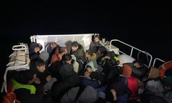Bodrum'da 39 düzensiz göçmen yakalandı
