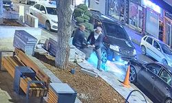 Bu da ağaç hırsızlığı: Parktaki ağacı araçla çaldılar