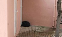 Camii avlusunda şüpheli çanta paniği