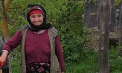 Çanakkale’de kaybolan Alzheimer hastası ölü bulundu