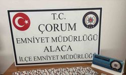 Çorum’da 266 adet sentetik ecza hapı ele geçirildi: 1 gözaltı