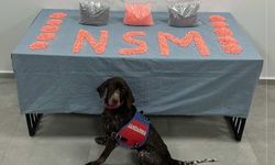 Denizli’de jandarma narkotik ekipleri zehir tacirlerine göz açtırmıyor