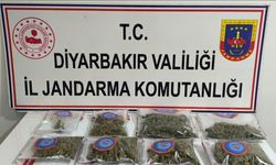 Diyarbakır’da 25 kilo esrar ele geçirildi