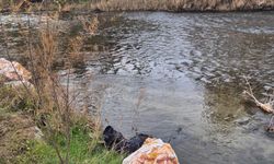 Ege Ekspresi'nin çarptığı yaya hayatını kaybetti