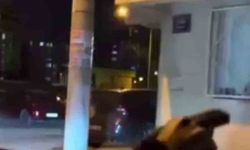 Elinde tabanca ile sokakta ateş edip tehditler savurdu